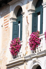 Windows with ornamental flowers