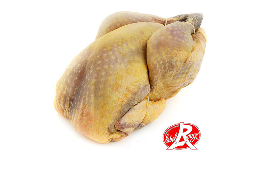 pintade crue sur fond blanc