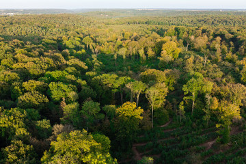 Forêt domaniale de Dourdan 91 vue du ciel