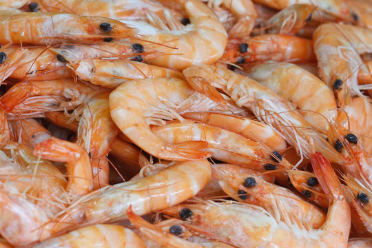 Background of shrimp closeup horizontal
