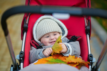 Cheerful little boy playing with leaves