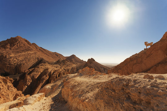 Mountain Oasis Sahara Landscape