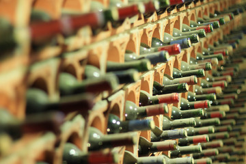 Wine cellar bottles covered with dust