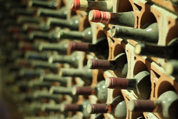 Wine cellar bottles covered with dust