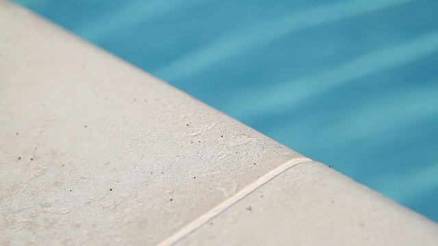 Summer poolside view with green grass and blue water