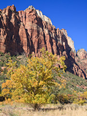 Court of the Patriarchs in Zion Canyon