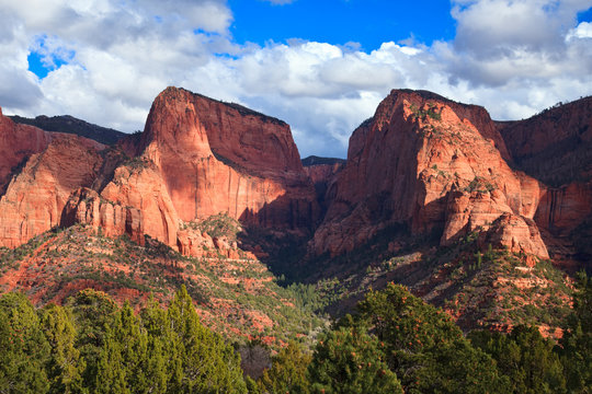 Nagunt Mesa and Timber Top Mountain in Zion Canyon