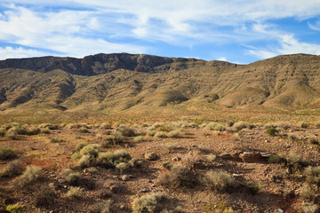 Fototapeta na wymiar Nevada Landscape in Valley of Fire
