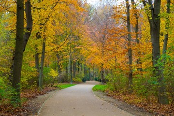 Beautiful autumn park in Berlin, Germany
