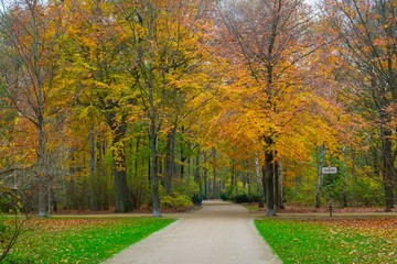 Fototapeta na wymiar Beautiful autumn park in Berlin, Germany