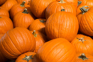 Pumpkin background