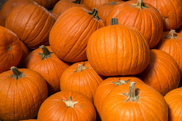 Pumpkin background