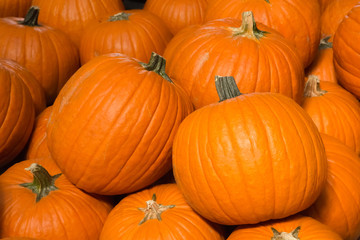 Pumpkin background
