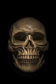 Spooky skull on black background