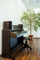 Piano in a modern house