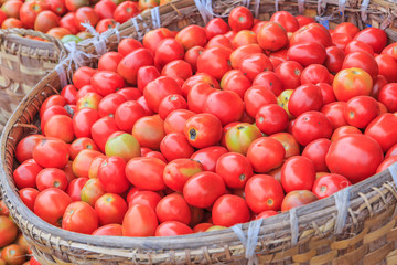 Tomatoes in the baskets