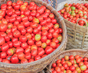 Tomatoes in the baskets