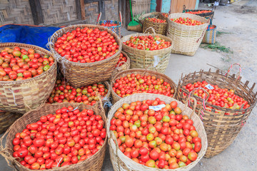 Tomatoes in the baskets