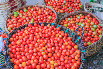Tomatoes in the baskets