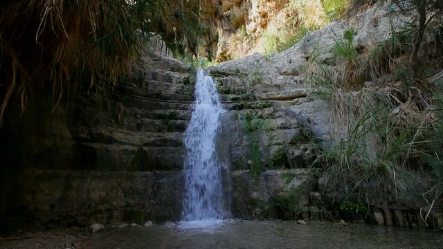 Ein Gedi Nature Reserve. israel. The Dead Sea