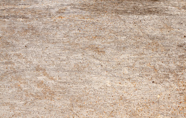 Fototapeta premium bleached driftwood