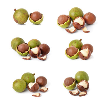 Macadamia Nuts On White Background