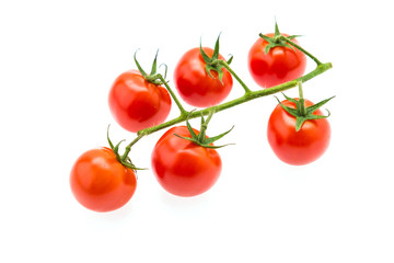 Tomato isolated on white