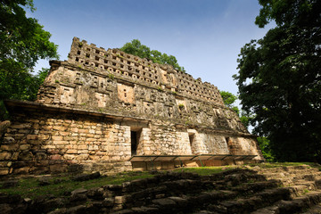 Top of a pyramid in Yaxchilan, Mexico - 71424309