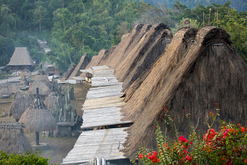 Traditional village Bena rooftops in Flores island © dislentev