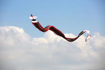 Kite flying in bali © dislentev