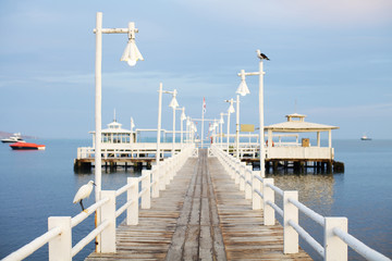 Old wooden pier over the sea shore with birds