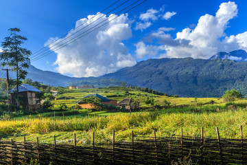 Terraced rice field