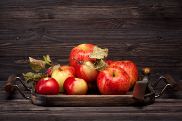apples in wooden tray