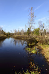 scenic autumn landscape of river and trees in northern Russia