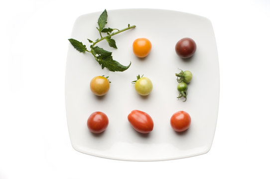 Verschiedene alte Tomatenrarit&auml;ten auf Teller