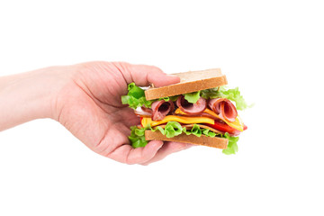 Sandwich in hand isolated