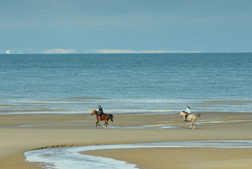au galop sur le sable