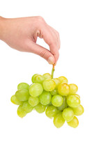 Male hand holding grapes