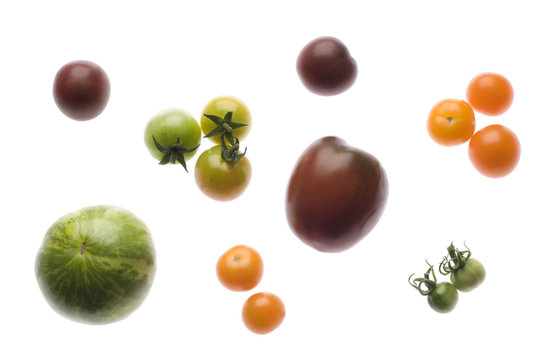 Verschiedene Tomatenrarit&auml;ten