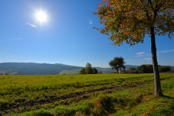 Fototapeta na wymiar Herbst Landschaft Sonne