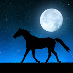Silhouette of a horse in the night sky with the moon