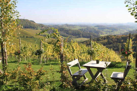 Weingarten 47