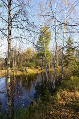 Fototapeta premium scenic autumn landscape of river and trees in northern Russia