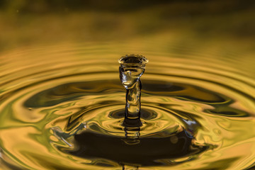 water drops on color background