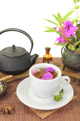 Obraz na płótnie Canvas chinesische Naturmedizin mit einer Tasse Tee und Anis