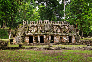 Yaxchilan archeological site, Chiapas, Mexico - 71431773