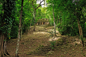 Yaxchilan archeological site, Chiapas, Mexico