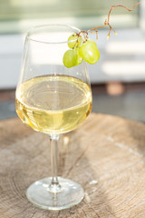 Glass of white wine