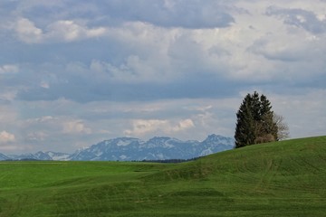 Bavarian Alps