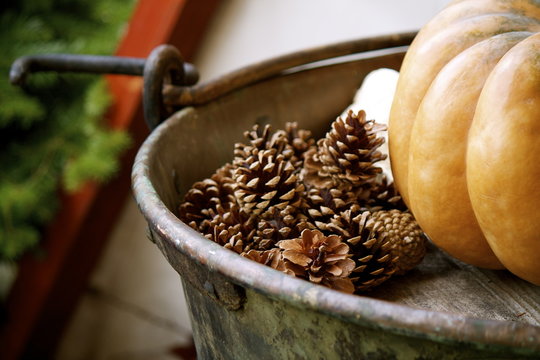 Composizione autunnale